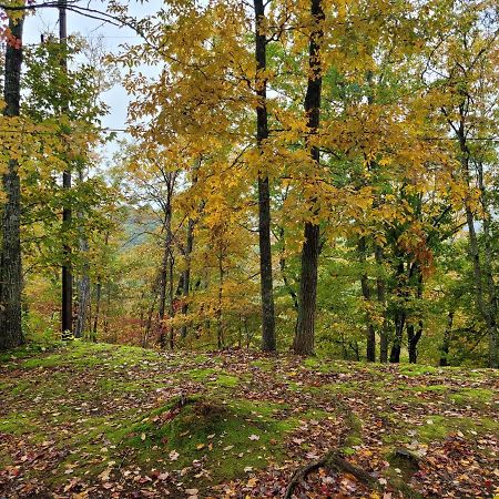 Bears Hideaway Βίλα Pigeon Forge Εξωτερικό φωτογραφία