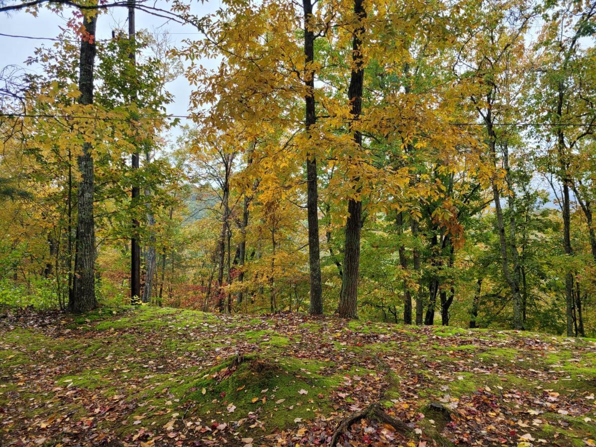 Bears Hideaway Βίλα Pigeon Forge Εξωτερικό φωτογραφία
